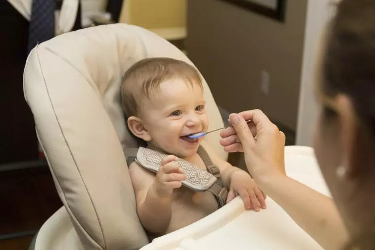 Meglio gli omogeneizzati o le pappe fatte in casa?