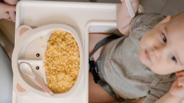 Seggiolone pappa: quale scegliere